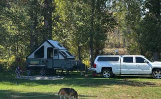 Ernie J.'s photo of camping with pets at Bull Run Dispersed Camping near Santa, ID