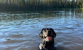 Scott B.'s photo of camping with pets at Bull Trout Lake Campground near Stanley, ID