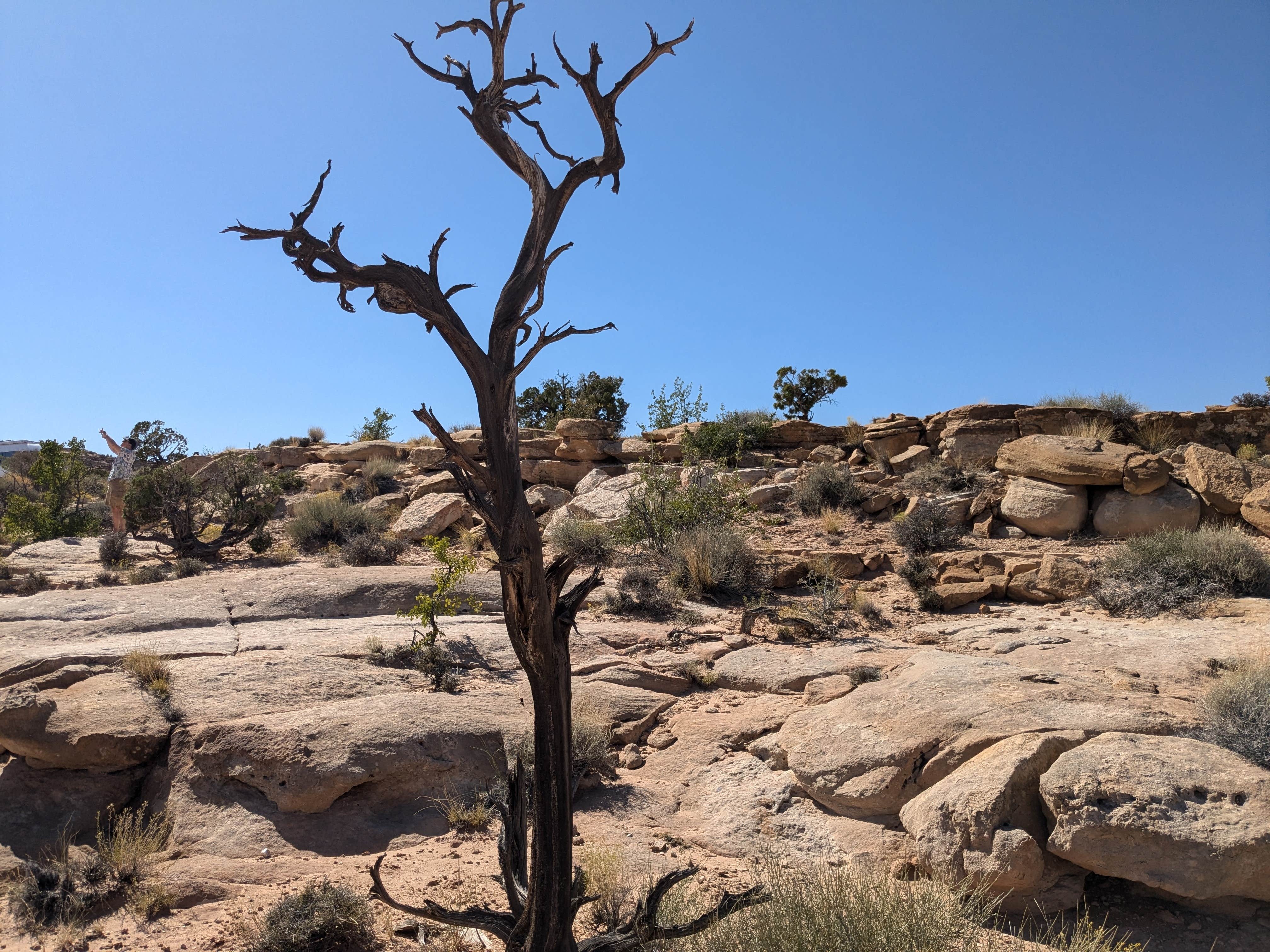Camper-submitted photo at Bullfrog Canyon Lookout from Burr Road Dispersed Campsite near Glen Canyon National Recreation Area