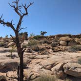 Review photo of bullfrog canyon Lookout number 2 campsite off Burr Road by DL M., September 13, 2024