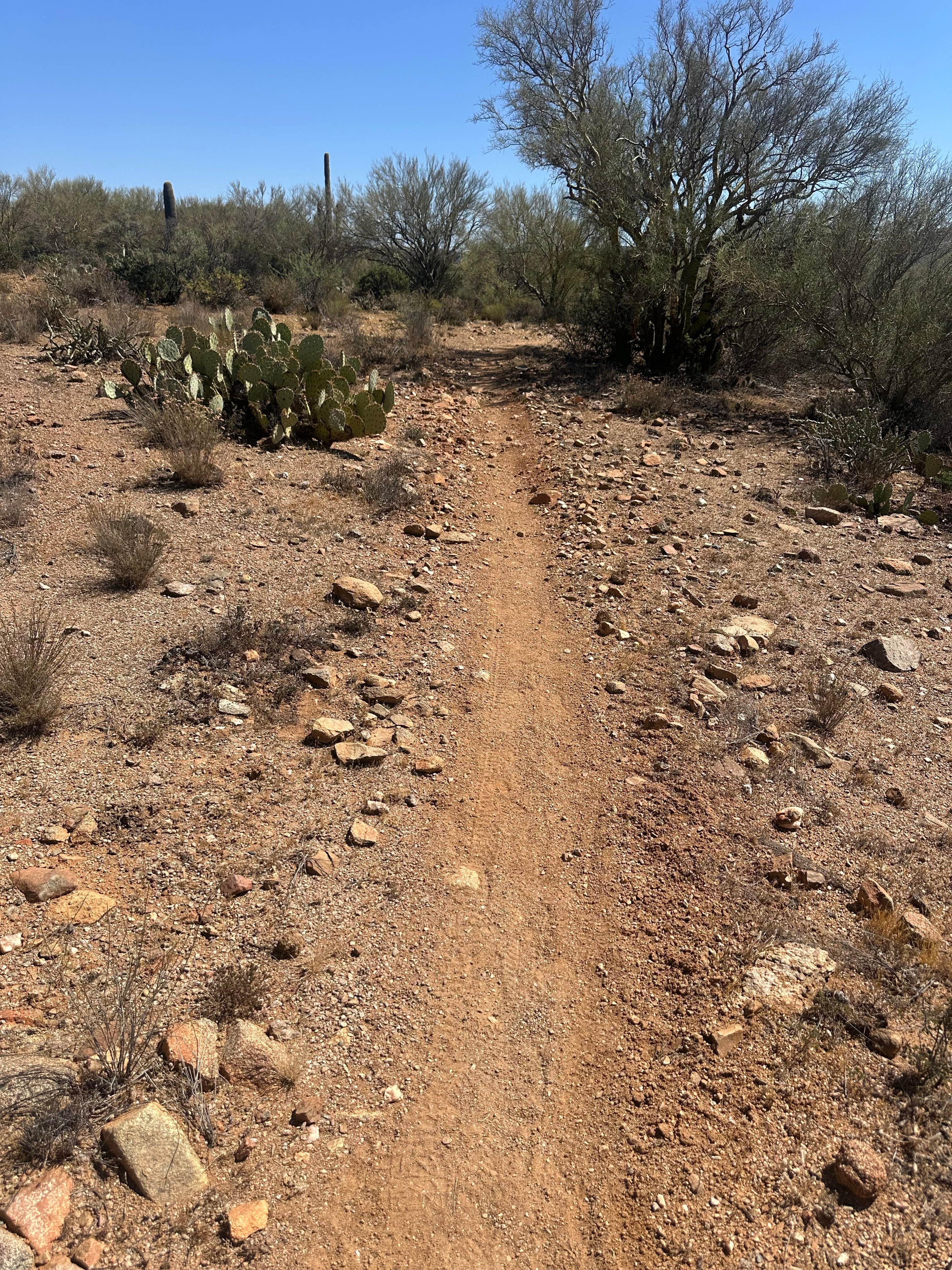 Roads