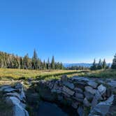 Review photo of Bunny Flats Camp by Casey B., August 19, 2024