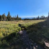 Review photo of Bunny Flats Camp by Casey B., August 19, 2024