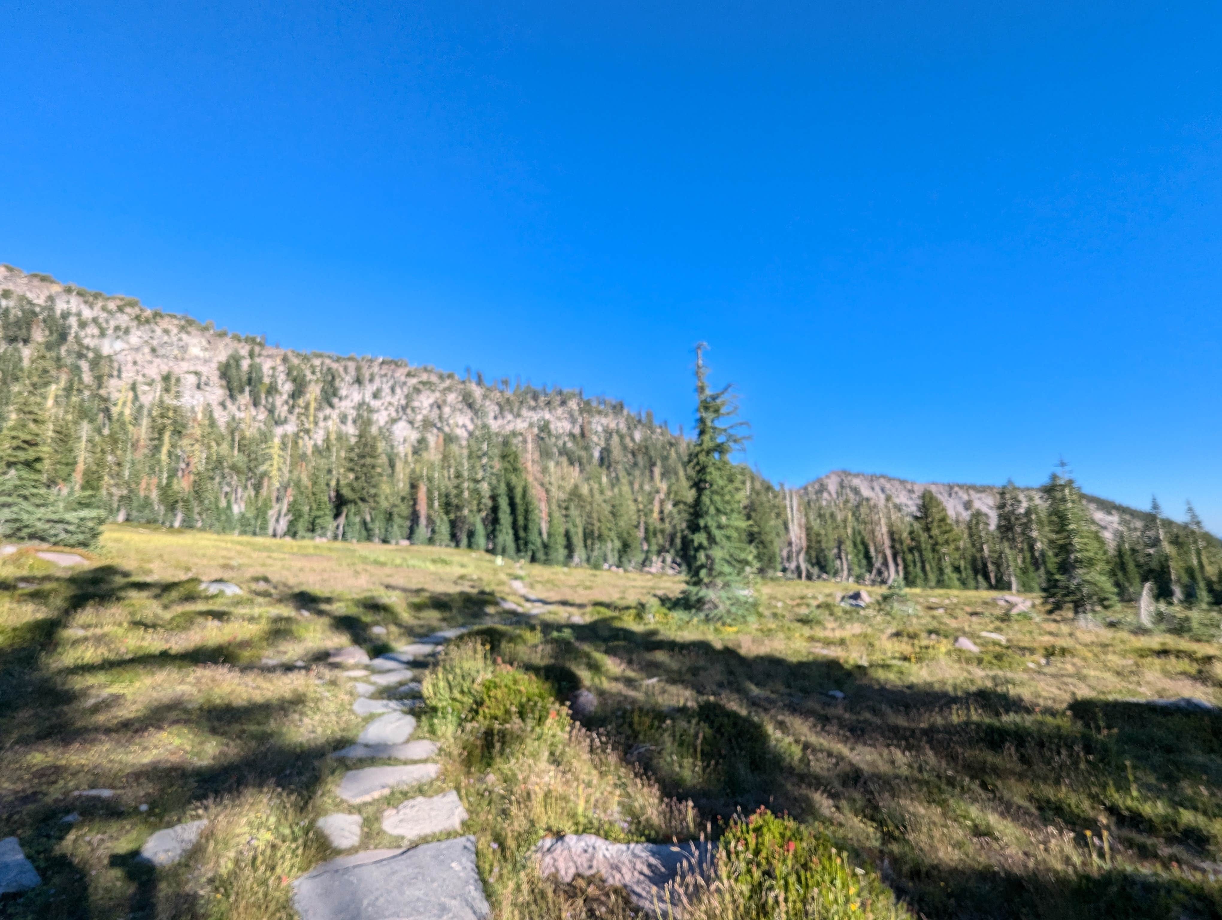 Camping near Mount Shasta City KOA Holiday: Bunny Flats Camp, Mount Shasta, Oregon
