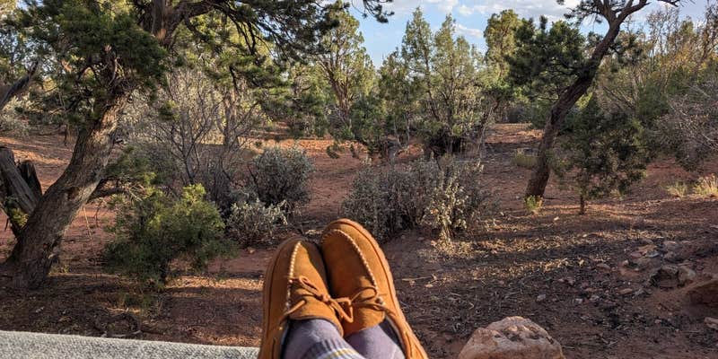 Camper submitted image from Burch Canyon Rd Dispersed Camping