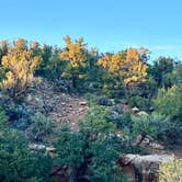 Review photo of Burch Canyon Road near Natural Bridges National Monument by Kirsten L., April 18, 2026