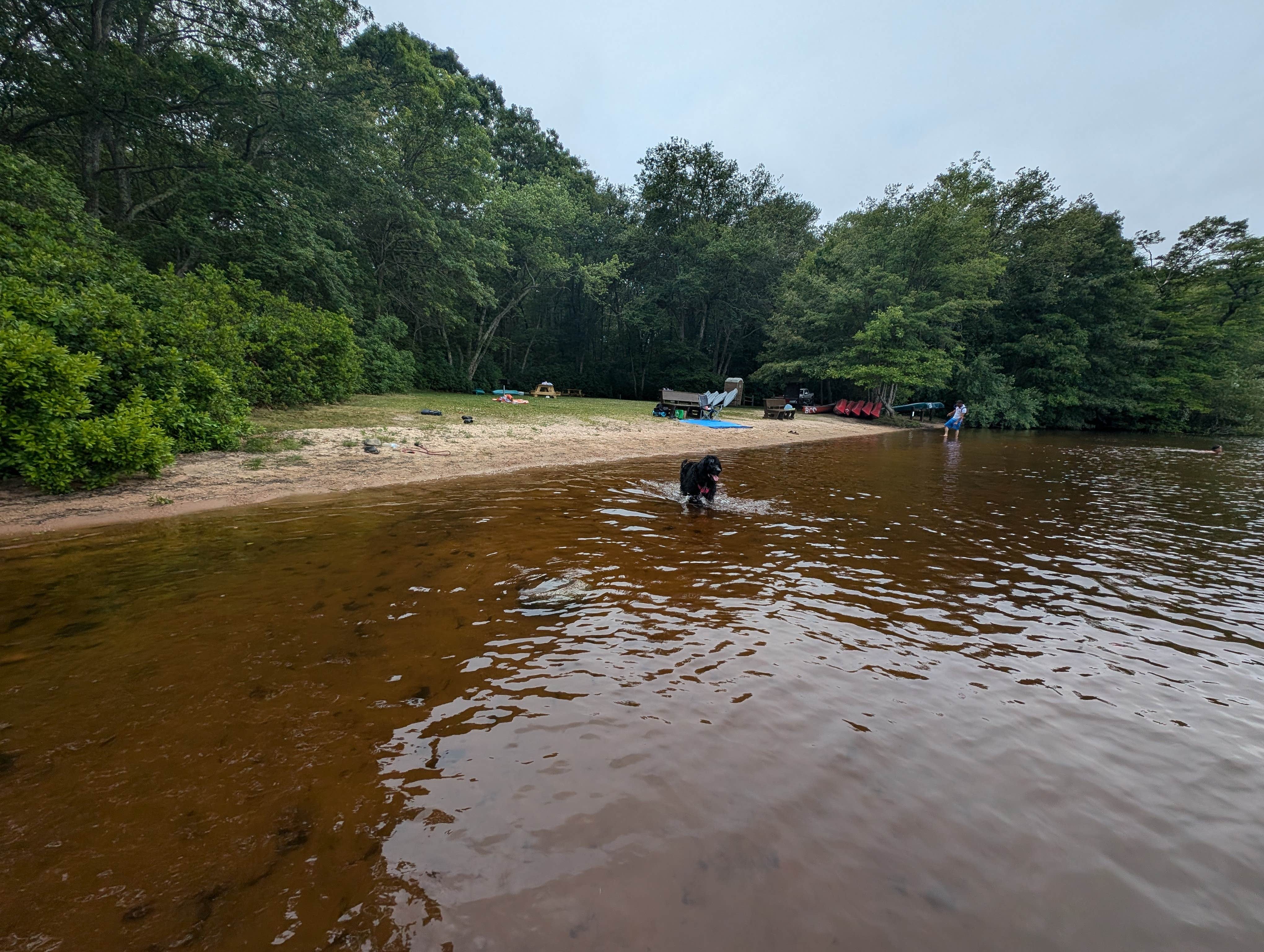 Mia S.'s photo of camping with pets at Burlingame State Park Campground near Cutchogue, NY