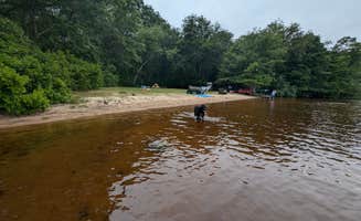 Mia S.'s photo of camping with pets at Burlingame State Park Campground near New London, CT