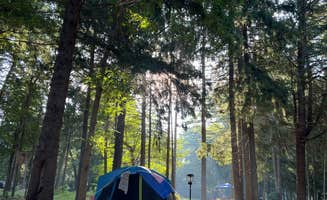 Kristi J.'s photo at Burlingame State Park Campground near Bradford, RI
