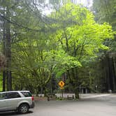 Review photo of Burlington Campground — Humboldt Redwoods State Park by malinda D., April 14, 2026