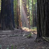Review photo of Burlington Campground — Humboldt Redwoods State Park by Charlene H., July 11, 2026
