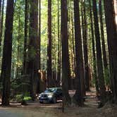 Review photo of Burlington Campground — Humboldt Redwoods State Park by Charlene H., July 11, 2026