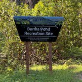 Review photo of Burma Pond BLM by Joseph W., May 24, 2026