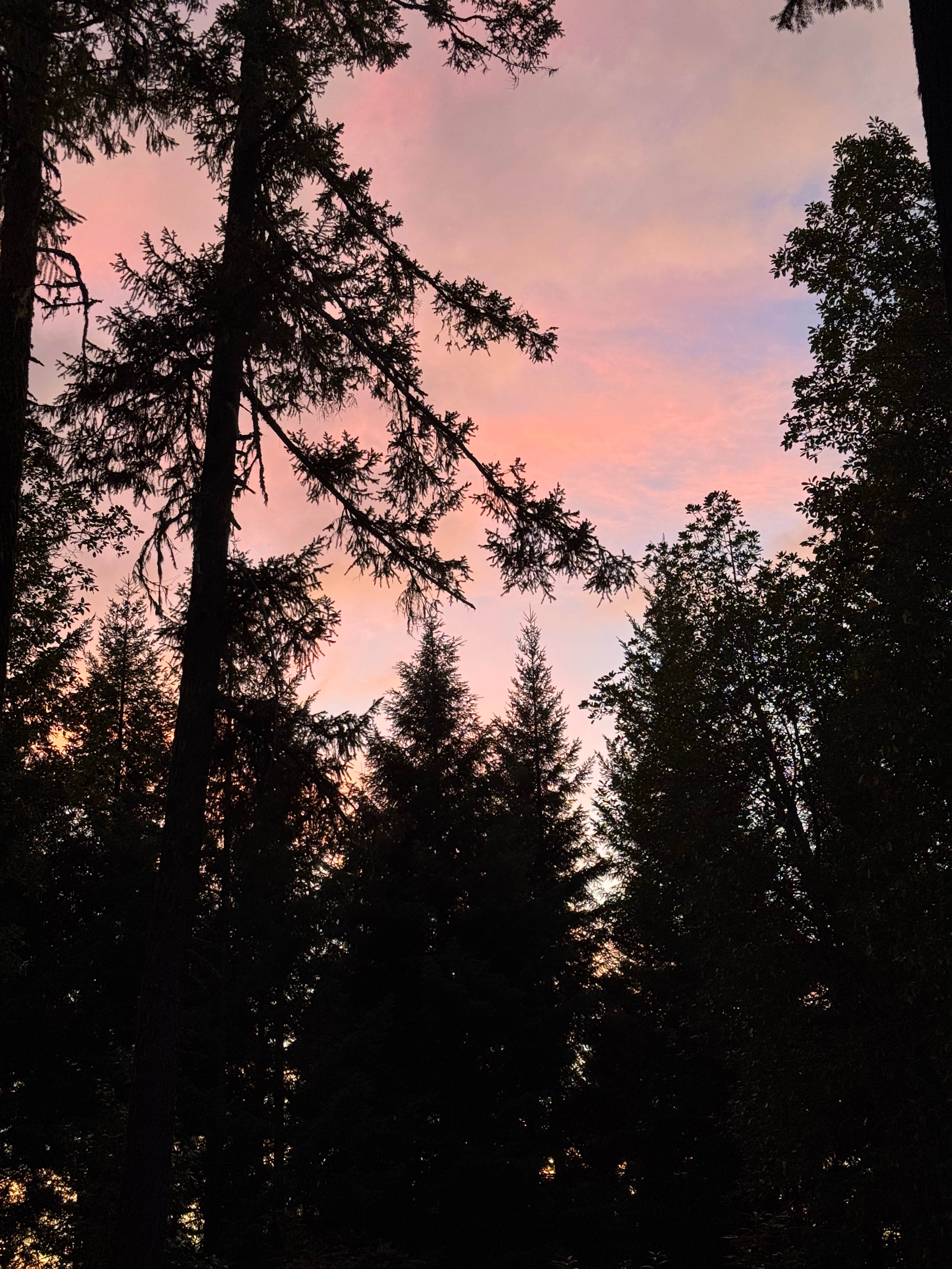 Camping near Rocky Riffle: Burma Pond BLM, Wolf Creek, Oregon