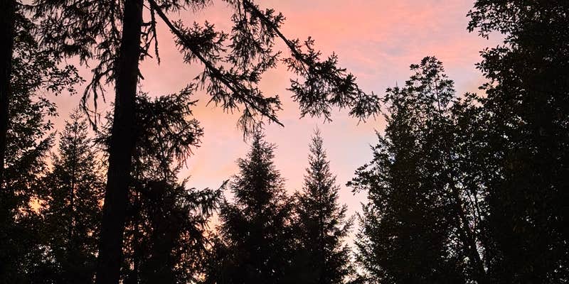 Camper submitted image from Burma Pond BLM