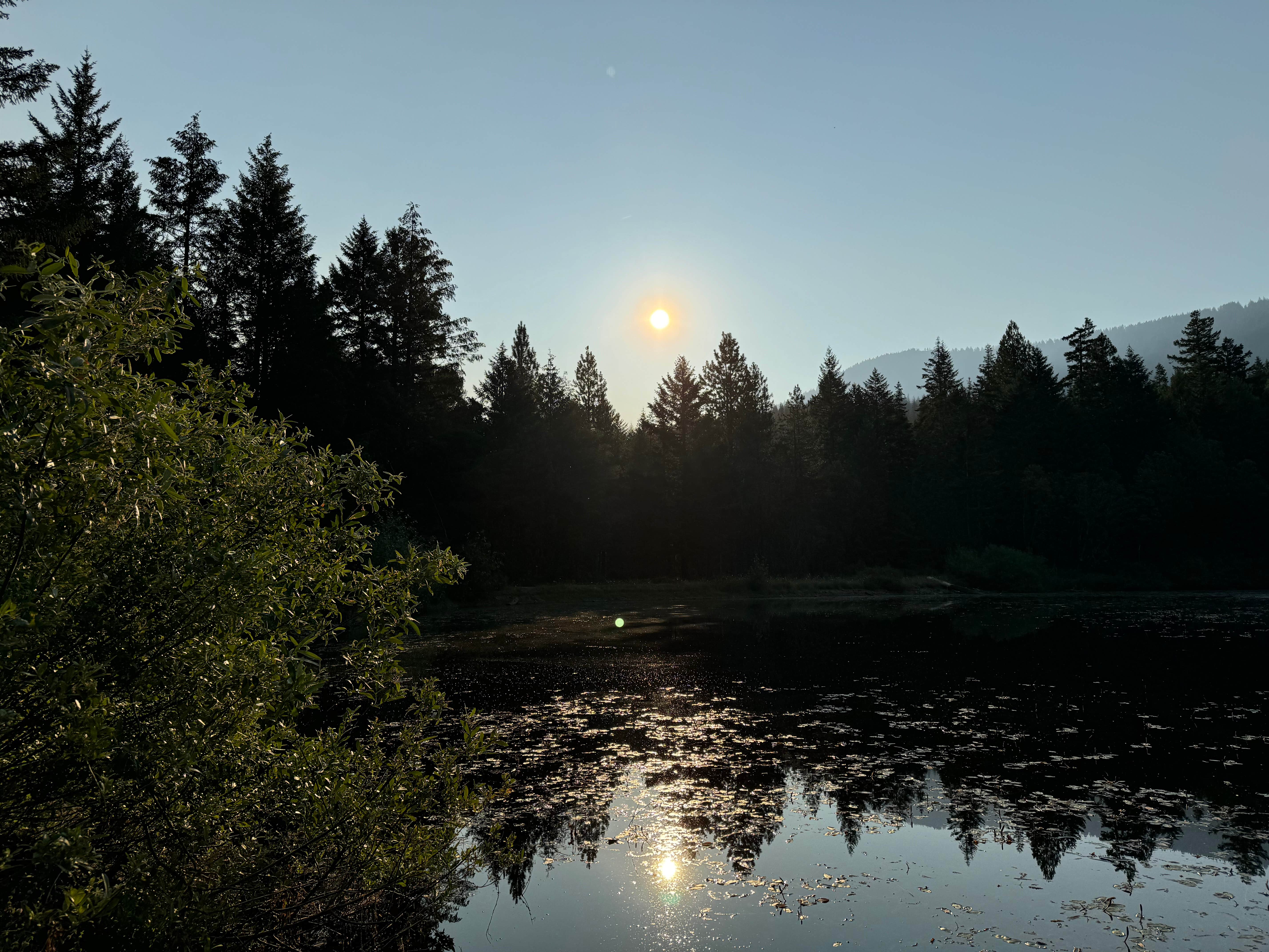 Cass G.'s photo of a dispersed camping area at Burma Pond BLM near Williams, OR