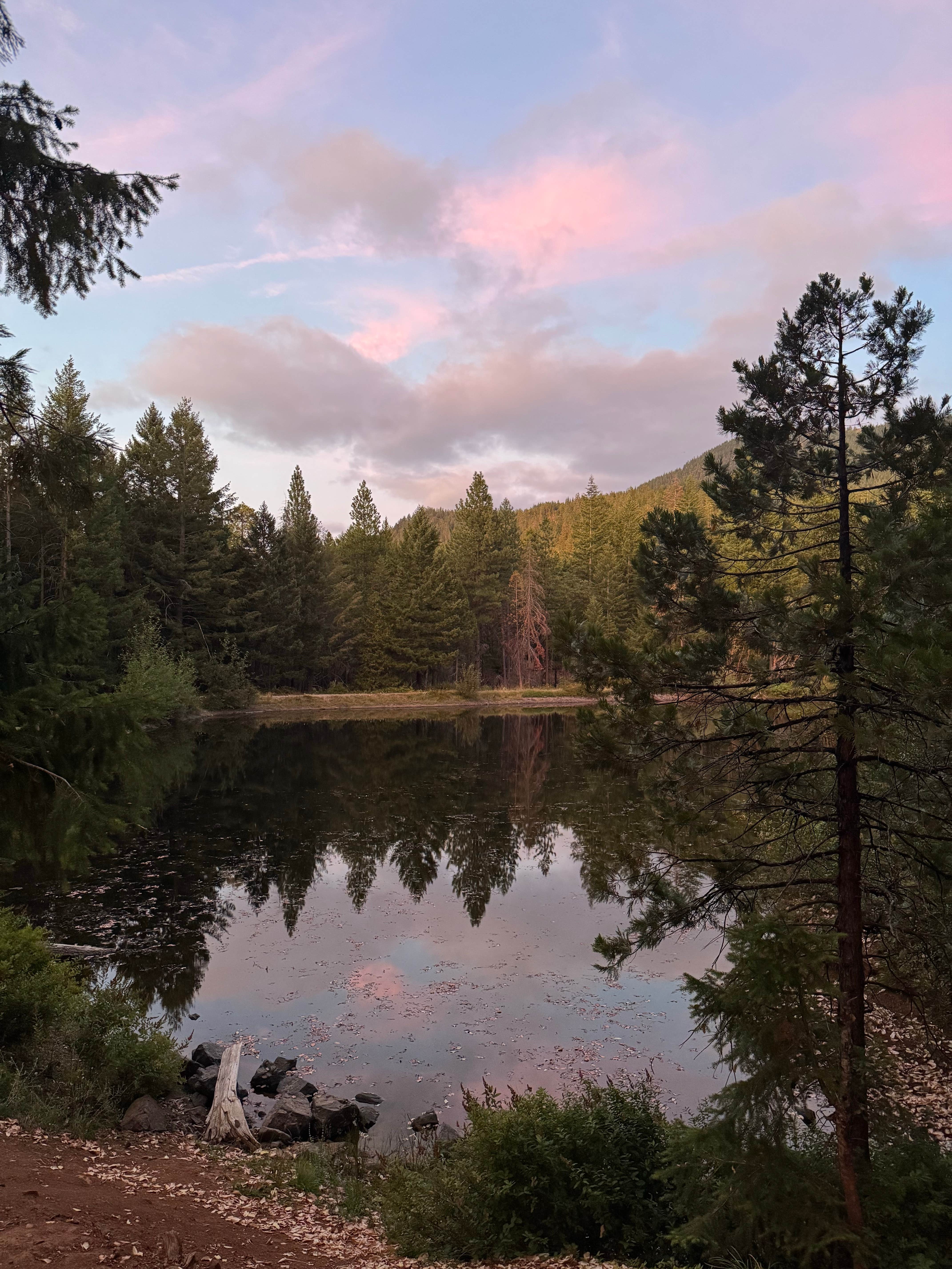 Camper-submitted photo at Burma Pond BLM near Wolf Creek, OR