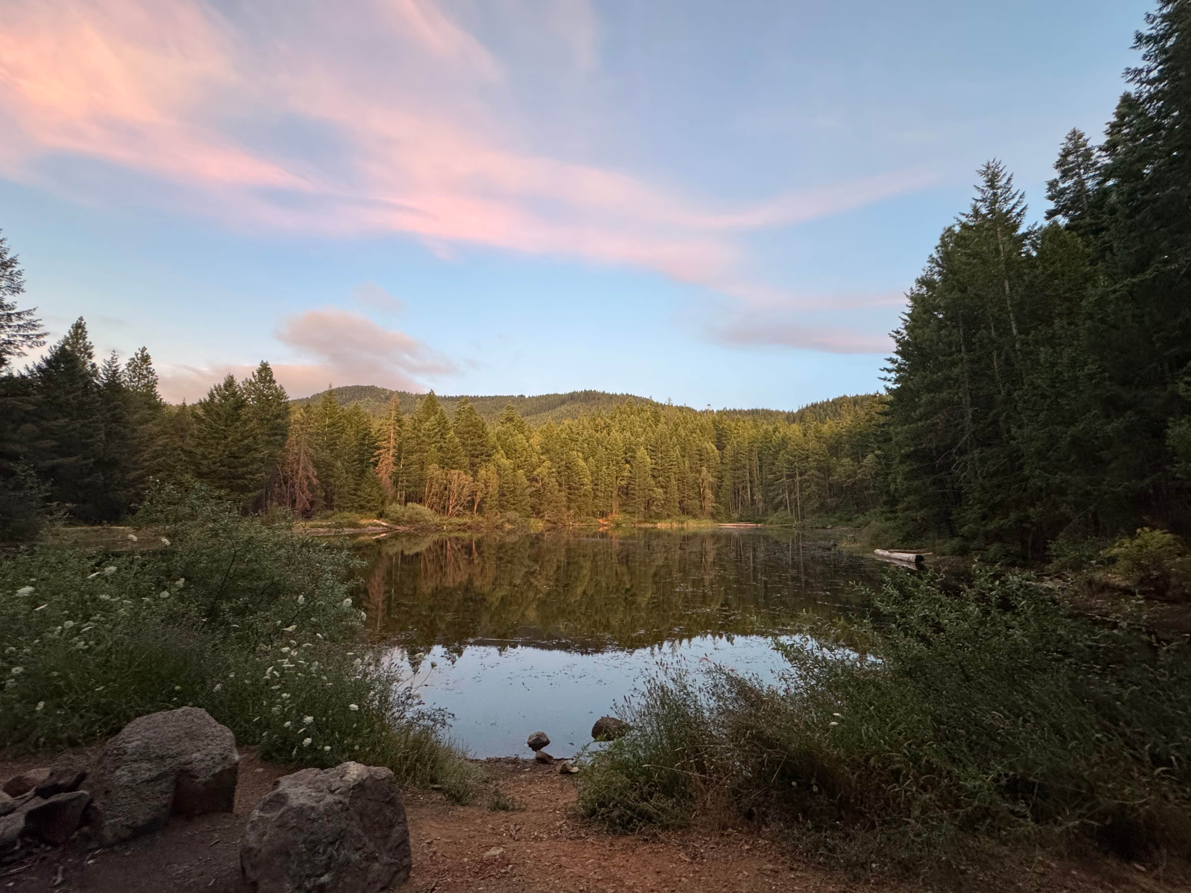 Camper-submitted photo at Burma Pond BLM near Oakland, OR