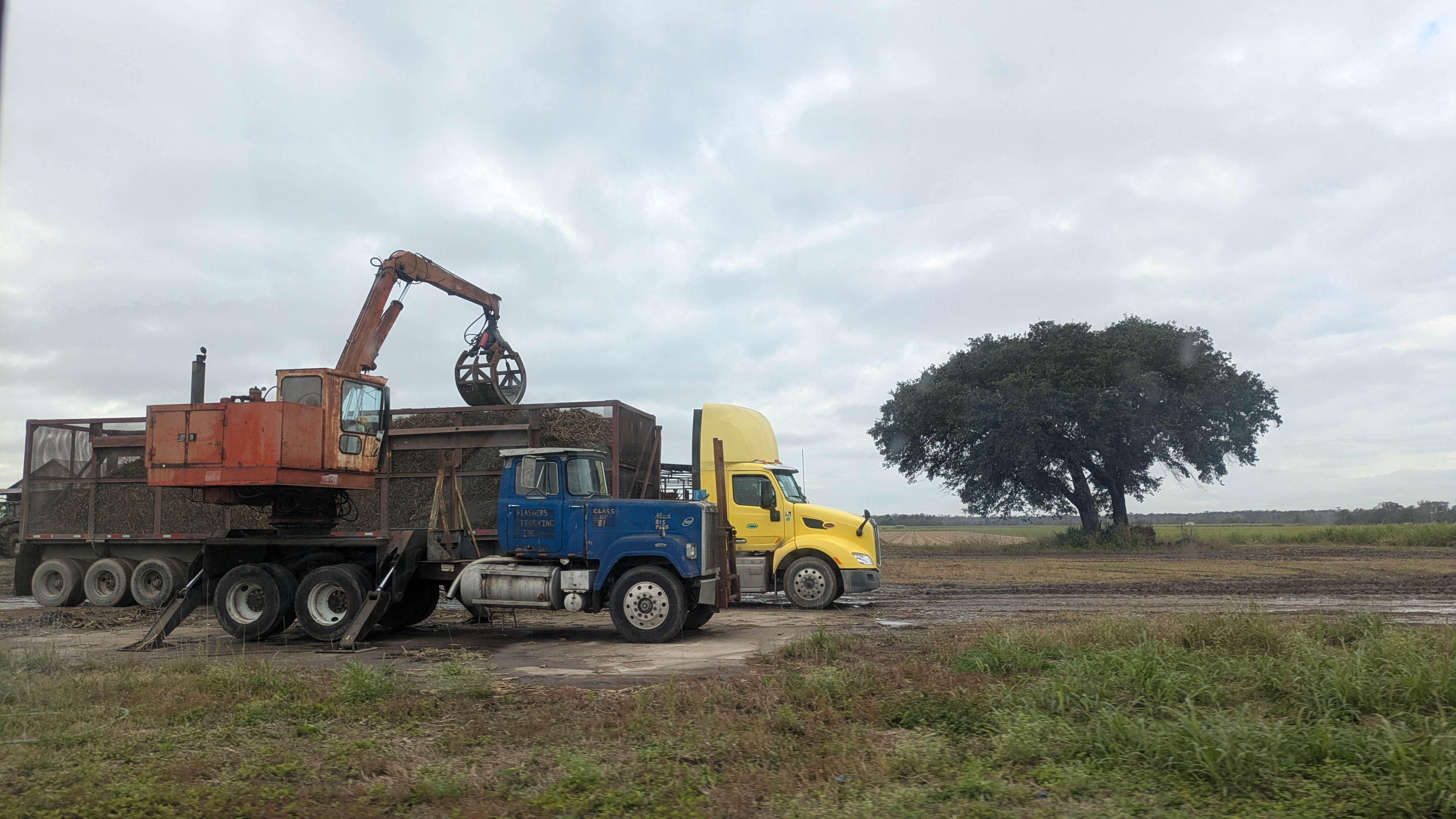 Camper-submitted photo at Burn’s Point Park near Franklin, LA