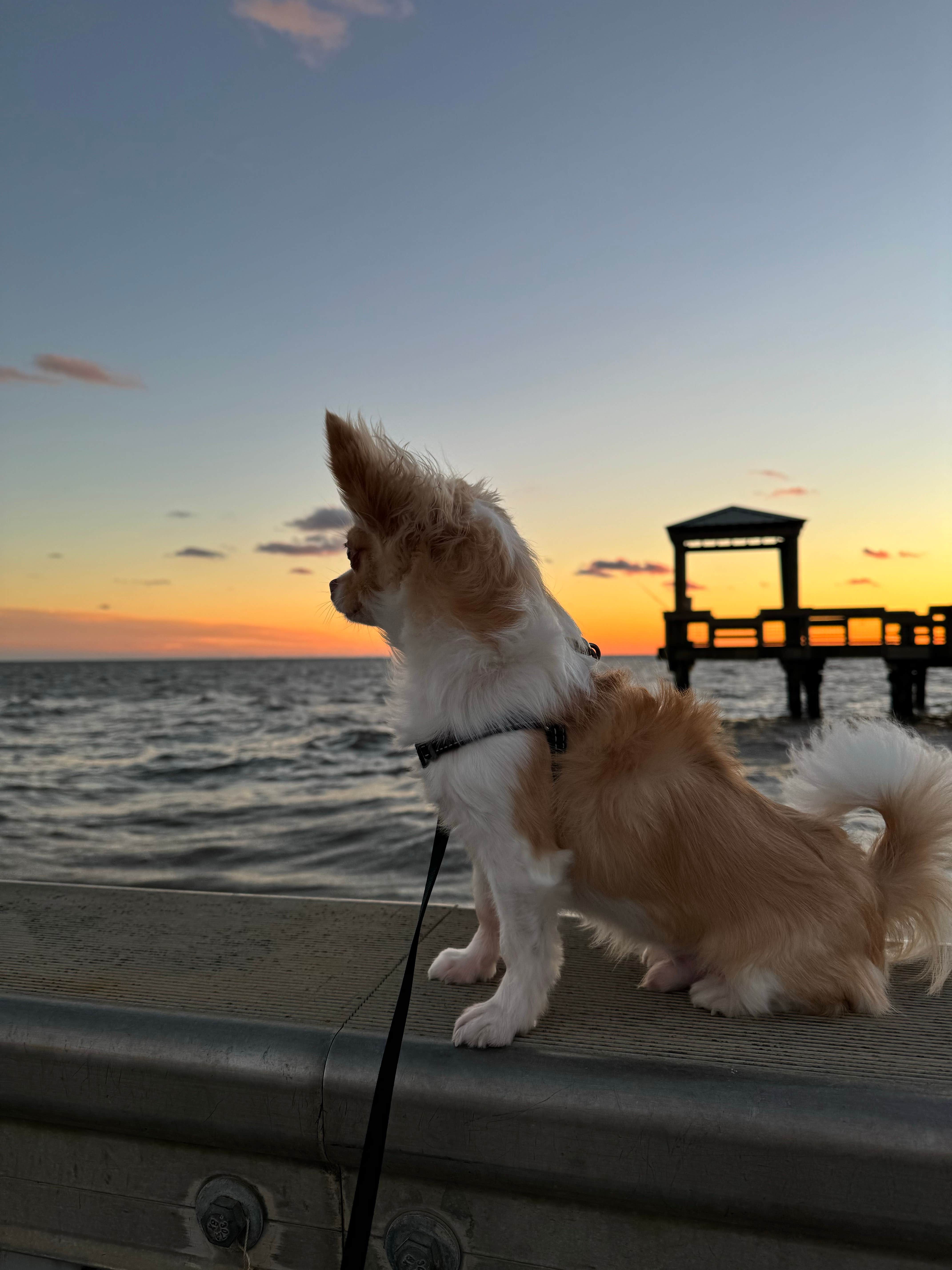 Camping near Attakapas Wildlife Management Area: Burn’s Point Park, Franklin, Louisiana