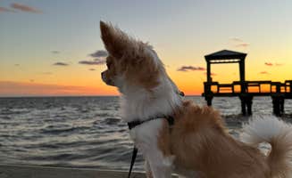 Brodie D.'s photo of camping with pets at Burn’s Point Park near Franklin, LA