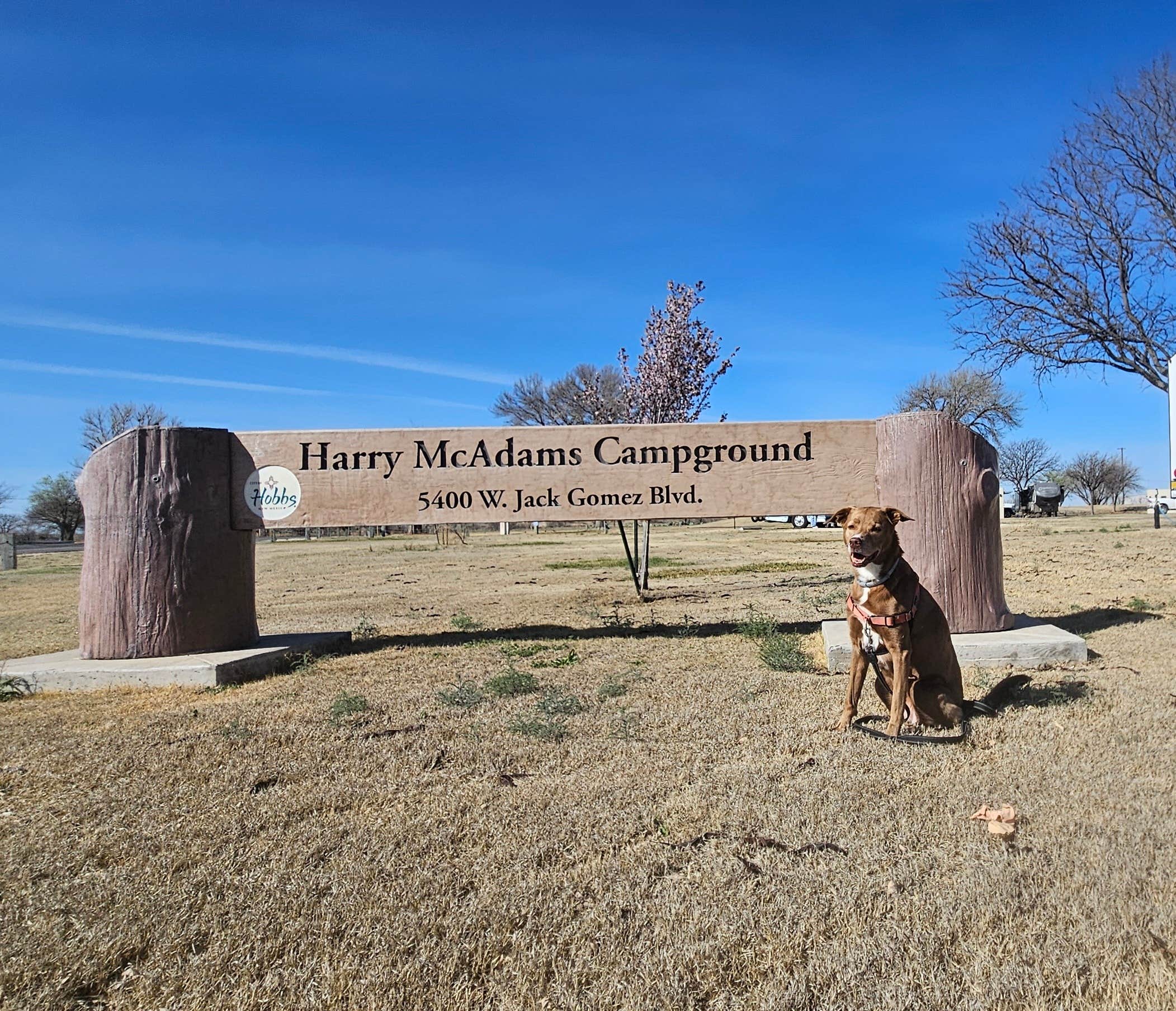 Camper-submitted photo at Hobbs RV Park near Jal, NM