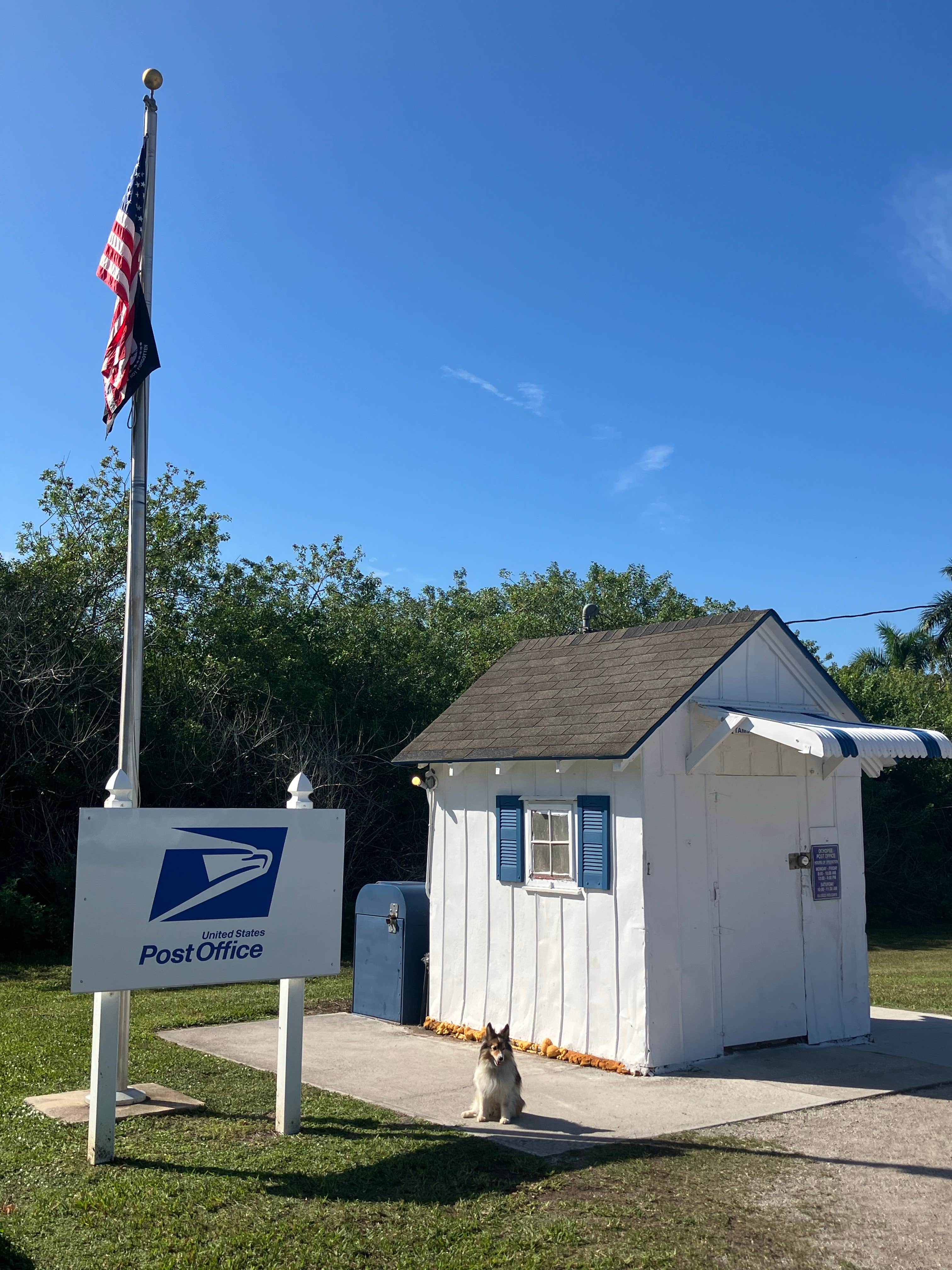 Roger W.'s photo of camping with pets at Burns Lake Campground — Big Cypress National Preserve near Big Cypress National Preserve