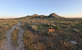 David M.'s photo of camping with pets at Burnt Hollow near Bighorn Canyon National Recreation Area