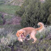 Review photo of Burnt Hollow by David M., May 31, 2025