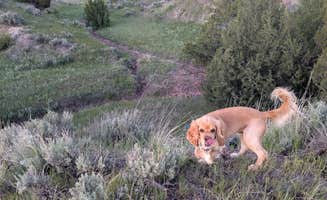 David M.'s photo of camping with pets at Burnt Hollow near Devils Tower, WY