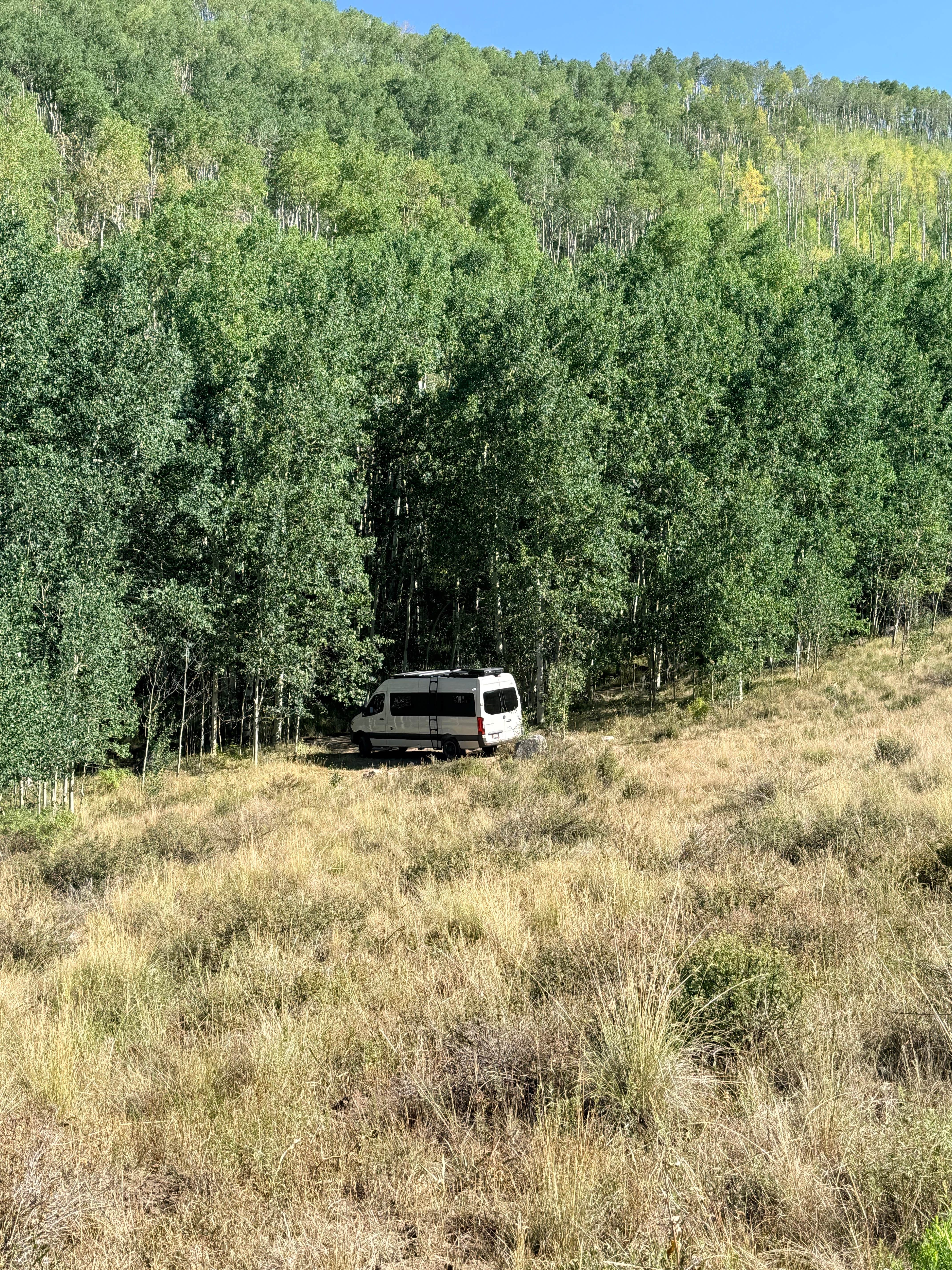 Camper-submitted photo at Burnt Mountain Road Dispersed Camping near Woody Creek, CO