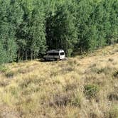 Review photo of Burnt Mountain Road Dispersed Camping by lisa C., August 29, 2026
