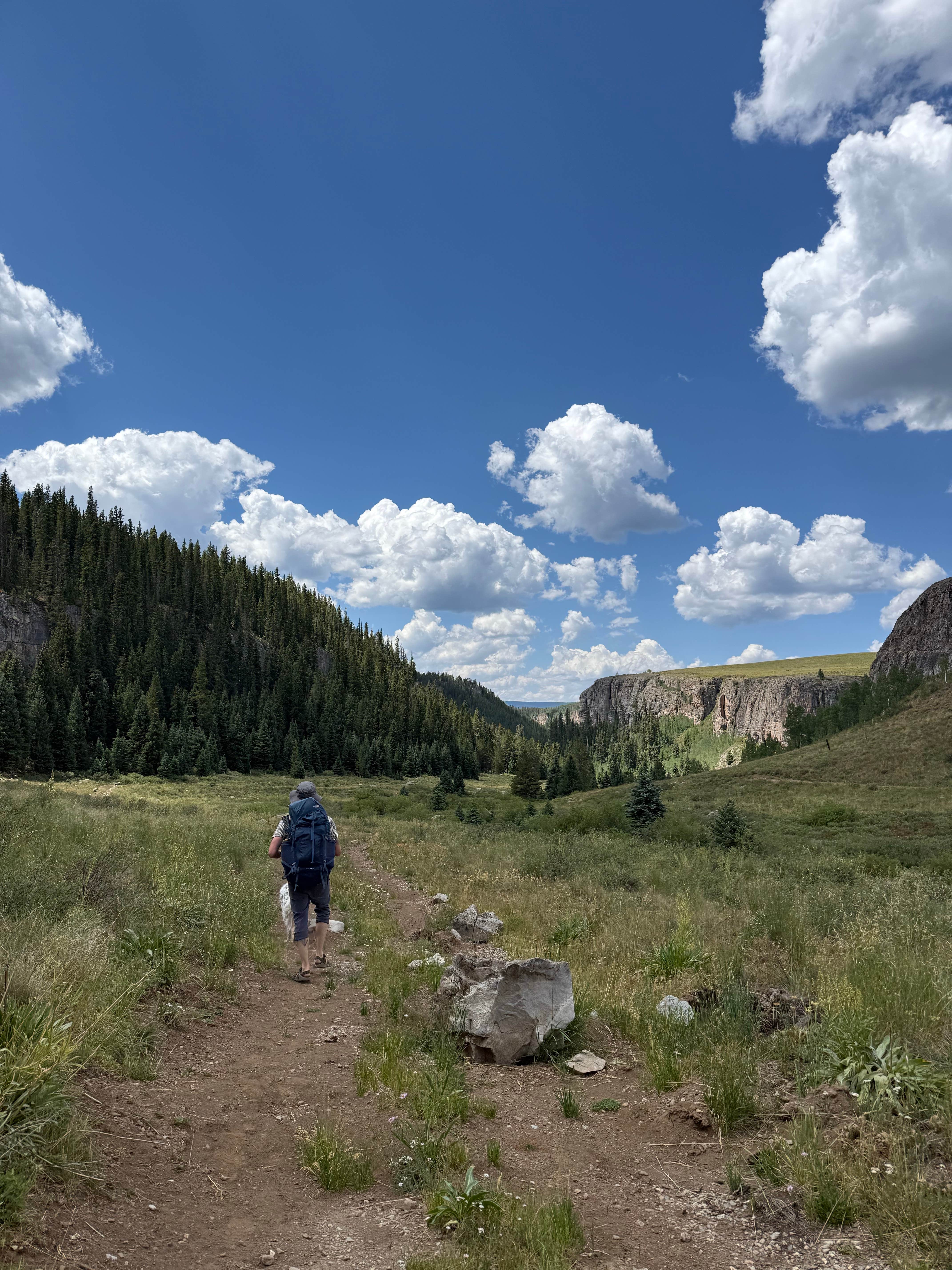 Camper-submitted photo at Burnt Mountain Road Dispersed Camping near Woody Creek, CO