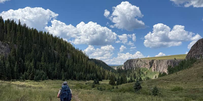 Camper submitted image from Burnt Mountain Road Dispersed Camping