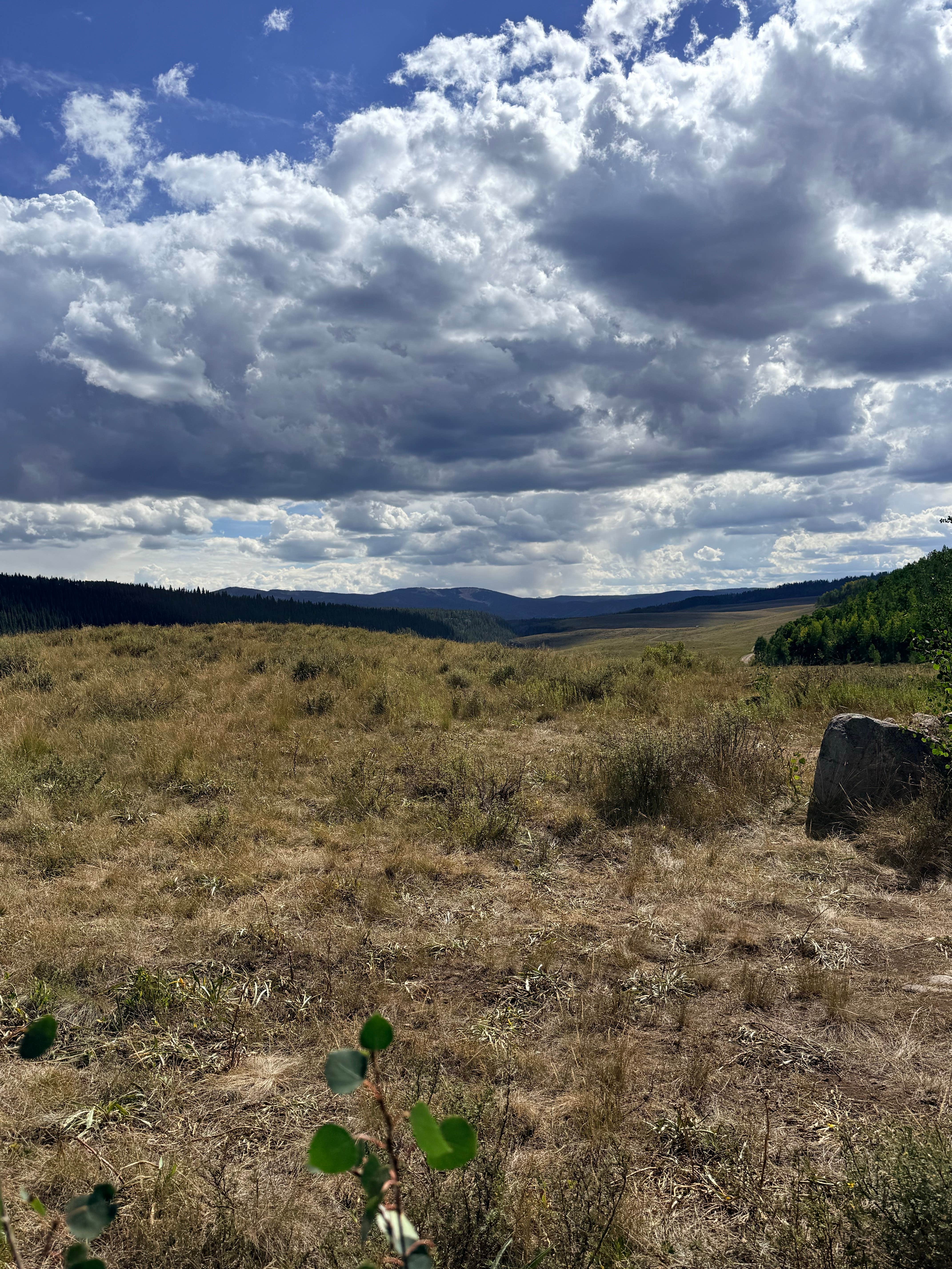 Camping near Sylvan Lake Campground — Sylvan Lake State Park: Burnt Mountain Road Dispersed Camping, Meredith, Colorado