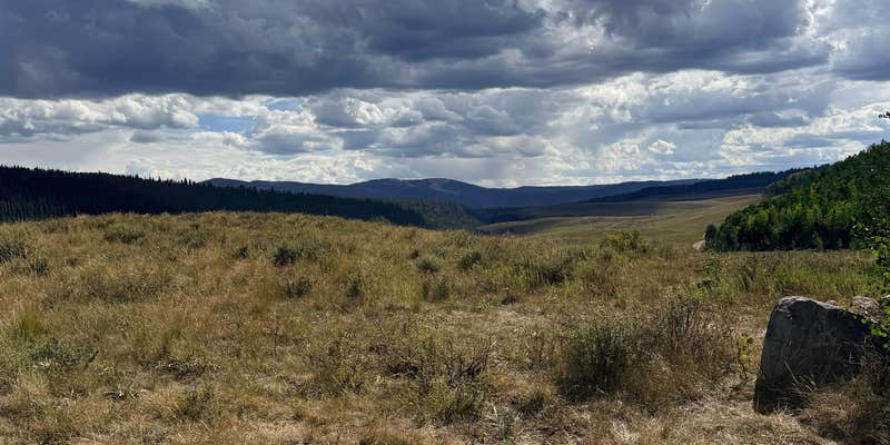 Camper submitted image from Burnt Mountain Road Dispersed Camping