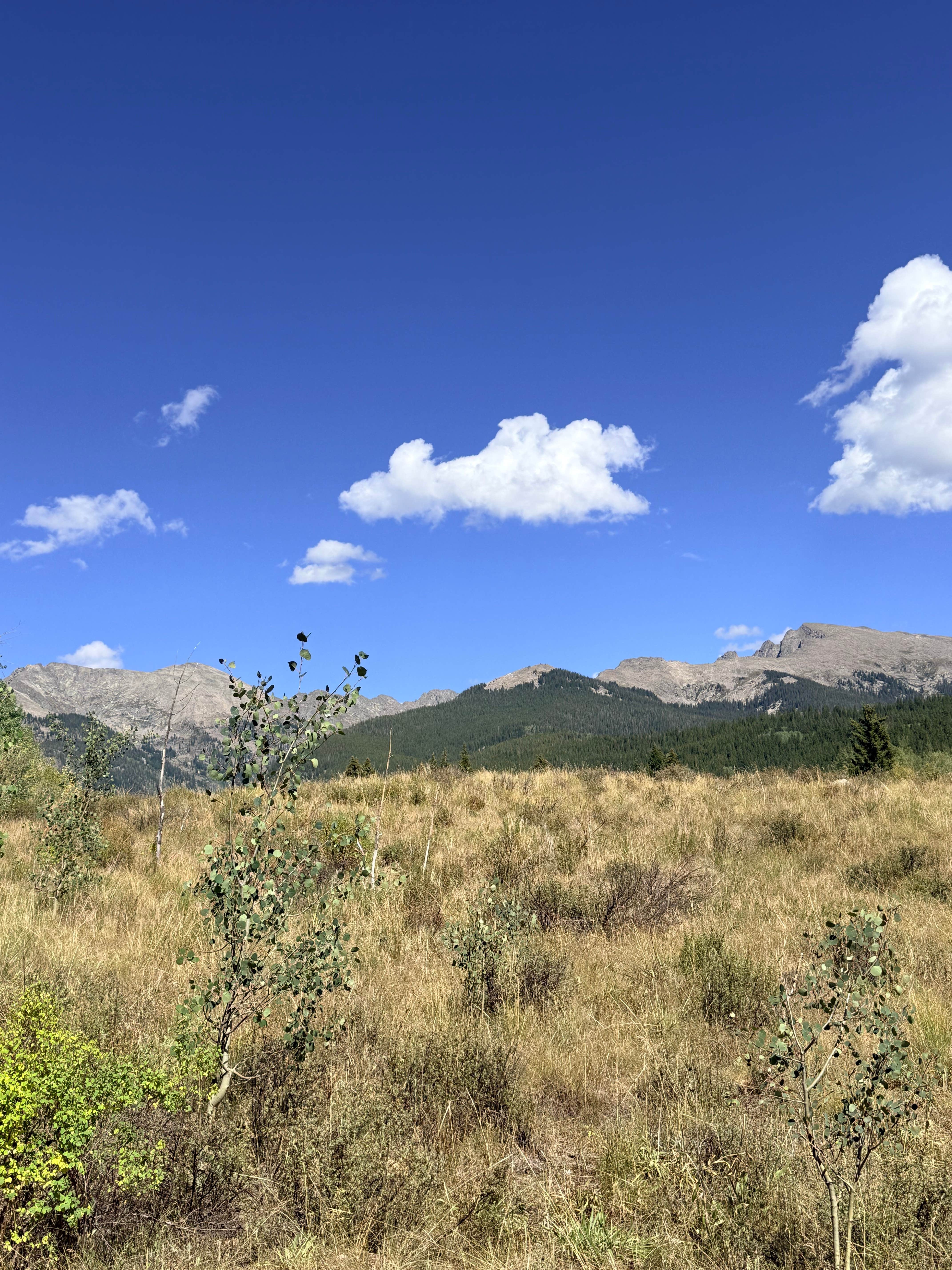 Camper-submitted photo at Burnt Mountain Road Dispersed Camping near Woody Creek, CO