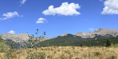 Nature