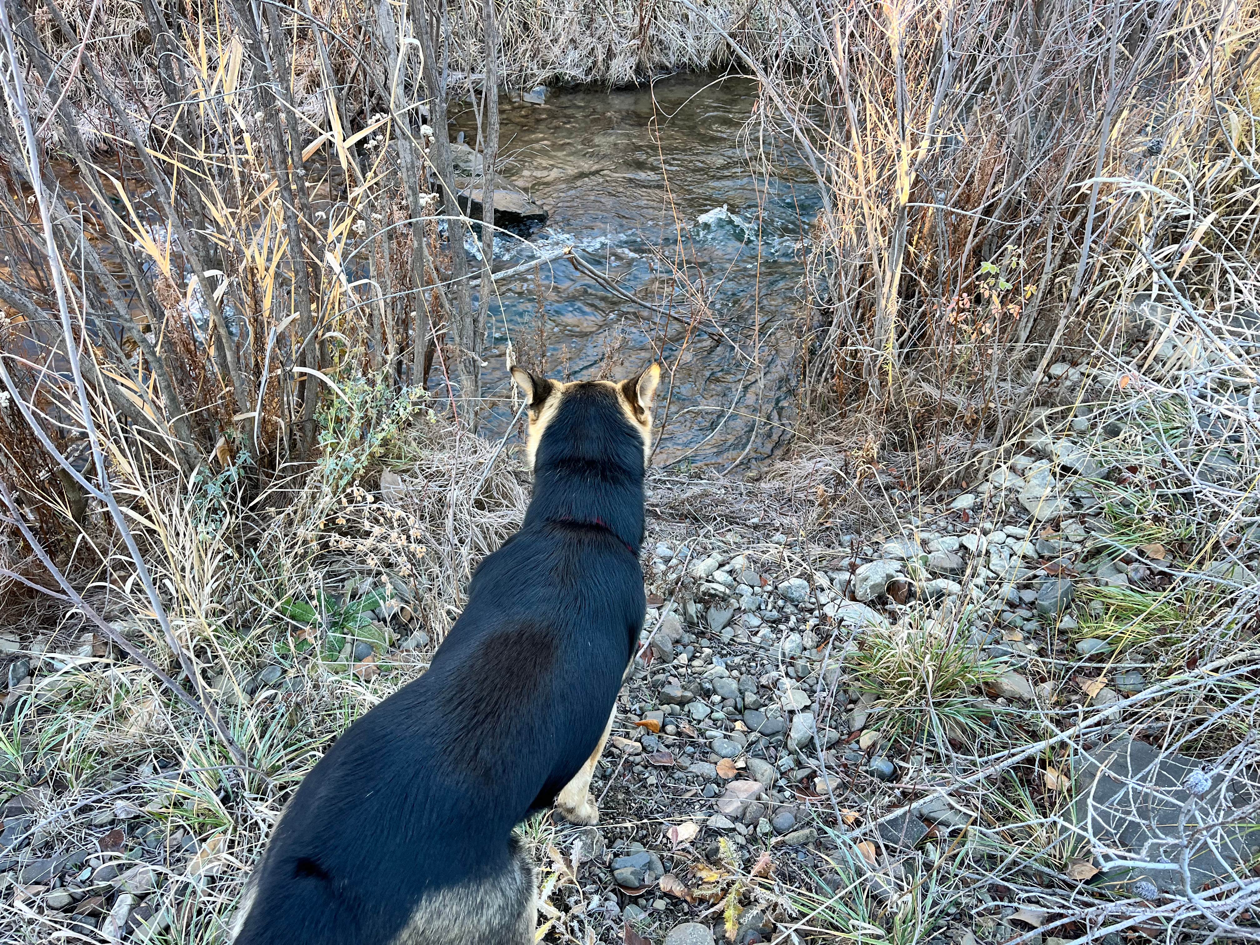 Camper-submitted photo at Burnt Ranch Road/Bridge Creek (Painted Hills) near Kimberly, OR
