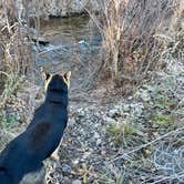 Review photo of Burnt Ranch Road/Bridge Creek (Painted Hills) by Edina N., November 23, 2025