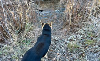 Edina N.'s photo of camping with pets at Burnt Ranch Road/Bridge Creek (Painted Hills) near Central Oregon