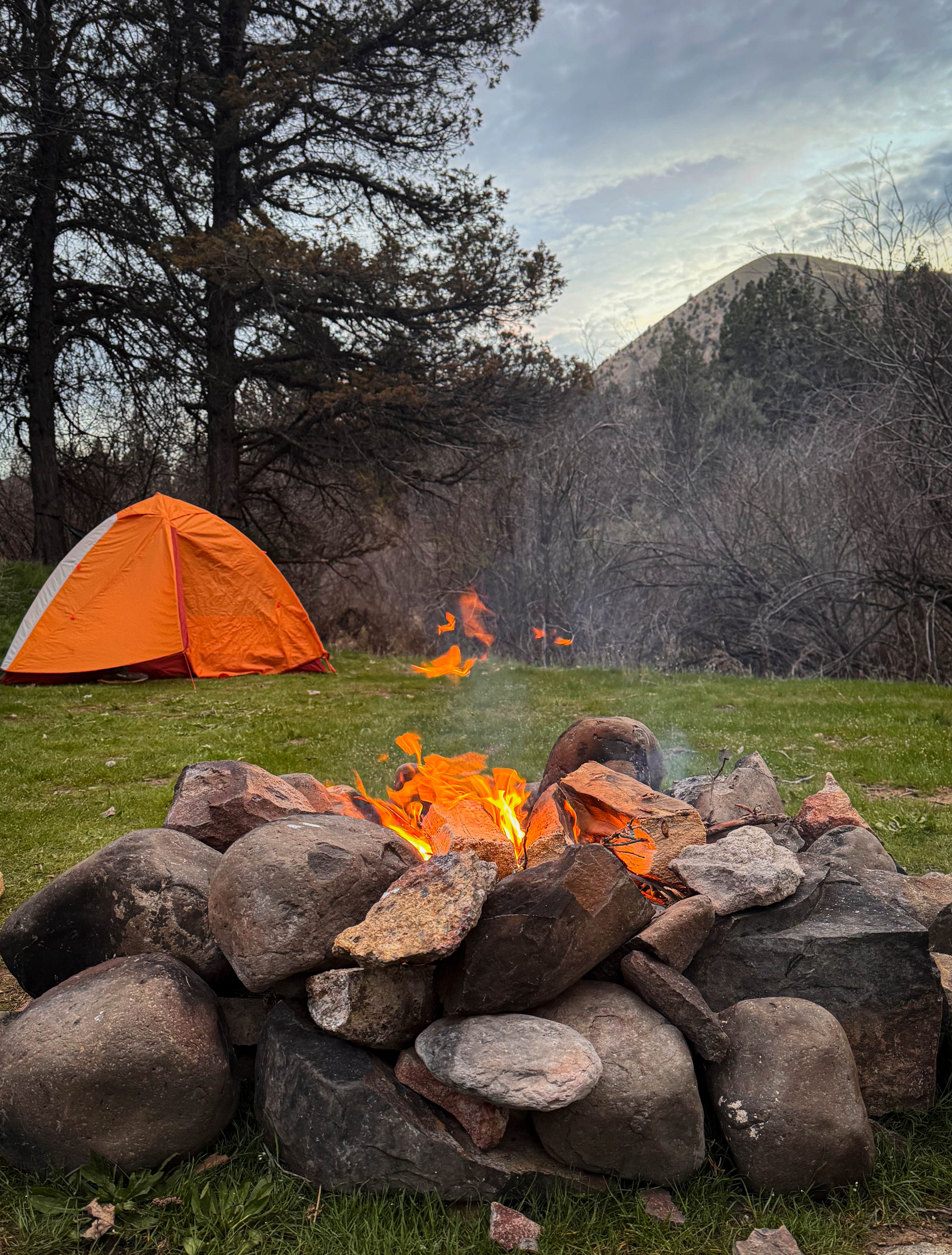 Alex C.'s photo of tent camping at Burnt Ranch Road/Bridge Creek (Painted Hills) near Kimberly, OR