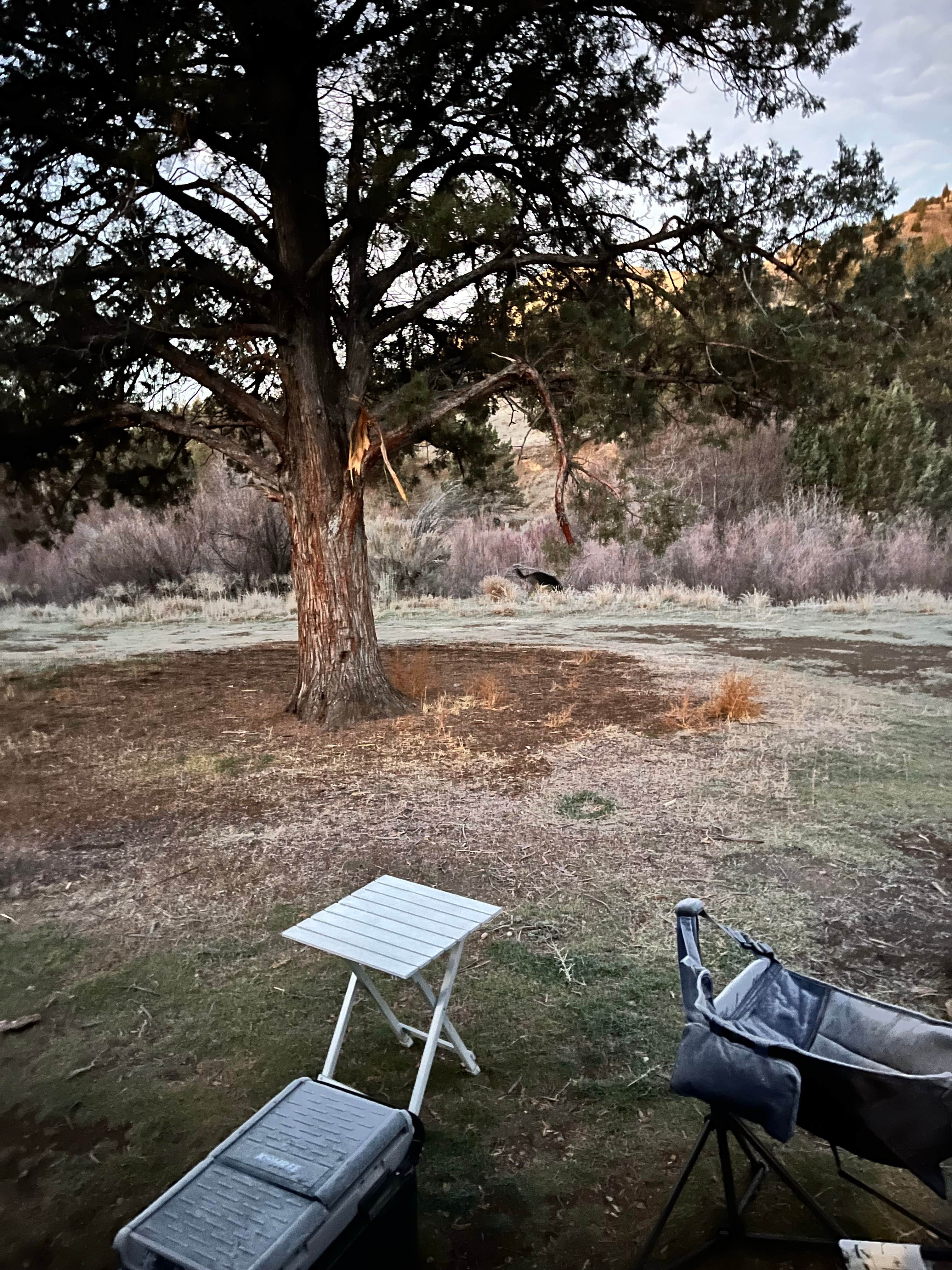 Camper-submitted photo at Burnt Ranch Road/Bridge Creek (Painted Hills) near Kimberly, OR