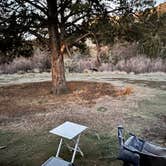 Review photo of Burnt Ranch Road/Bridge Creek (Painted Hills) by Edina N., November 23, 2025