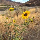 Review photo of Burnt River/Snake river confluence by traveller 1., September 24, 2026