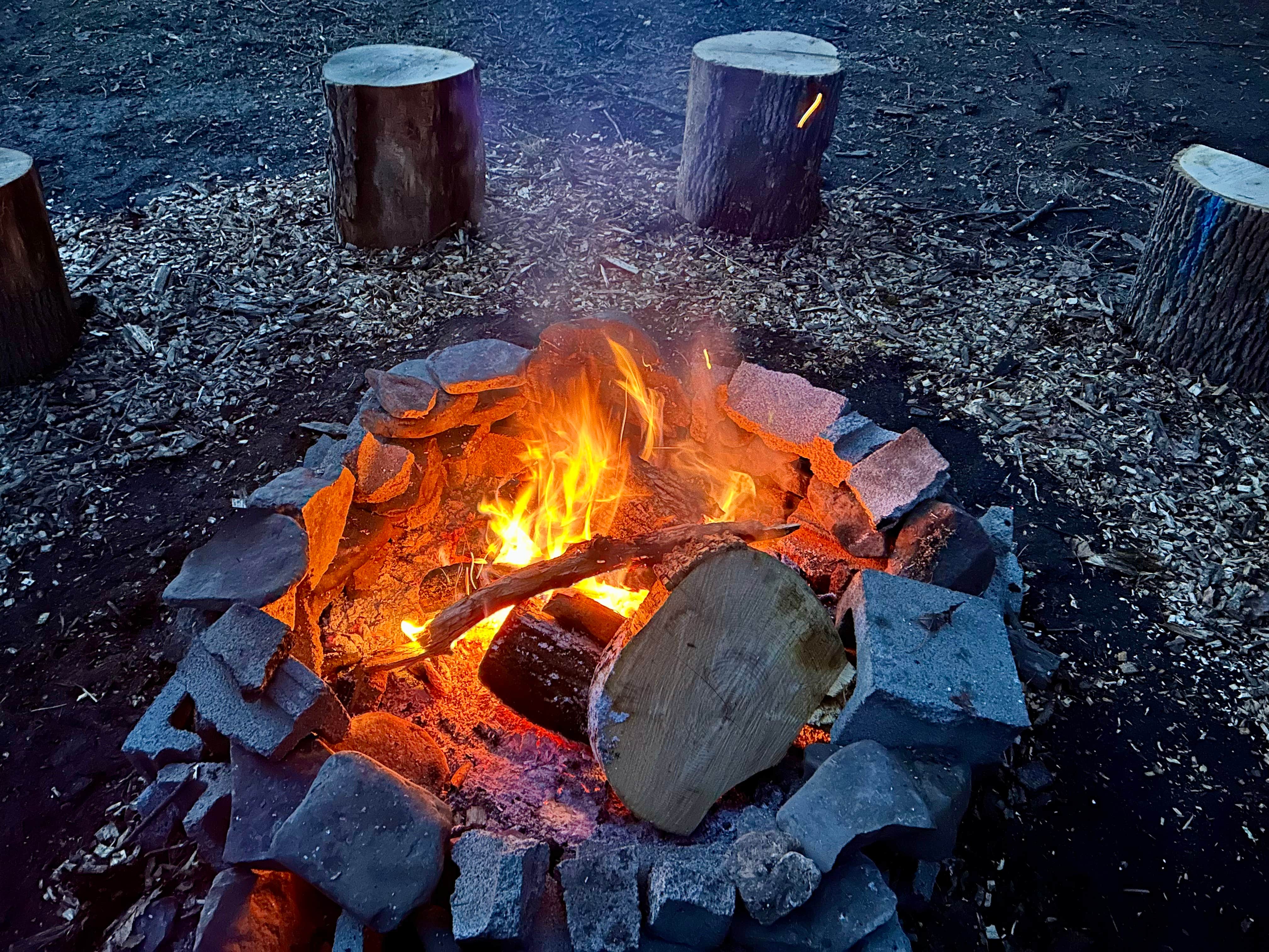 Burnt Rossman State Forest - Westkill Camp