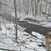 Review photo of Burnt Rossman State Forest - Westkill Camp by felix R., January 15, 2024