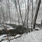 Review photo of Burnt Rossman State Forest - Westkill Camp by felix R., January 15, 2024