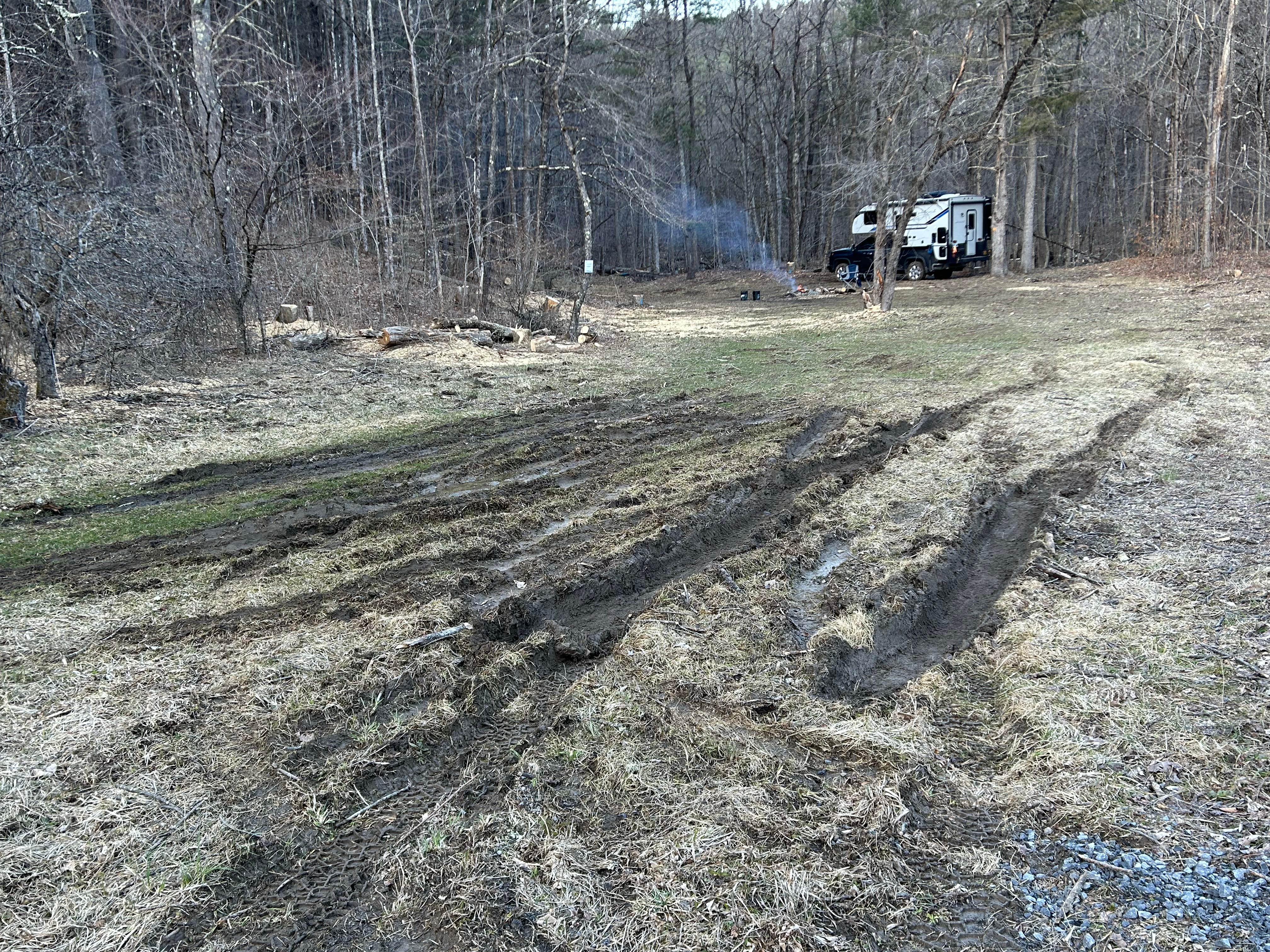 Camper-submitted photo at Burnt Rossman State Forest - Westkill Camp near Hunter, NY