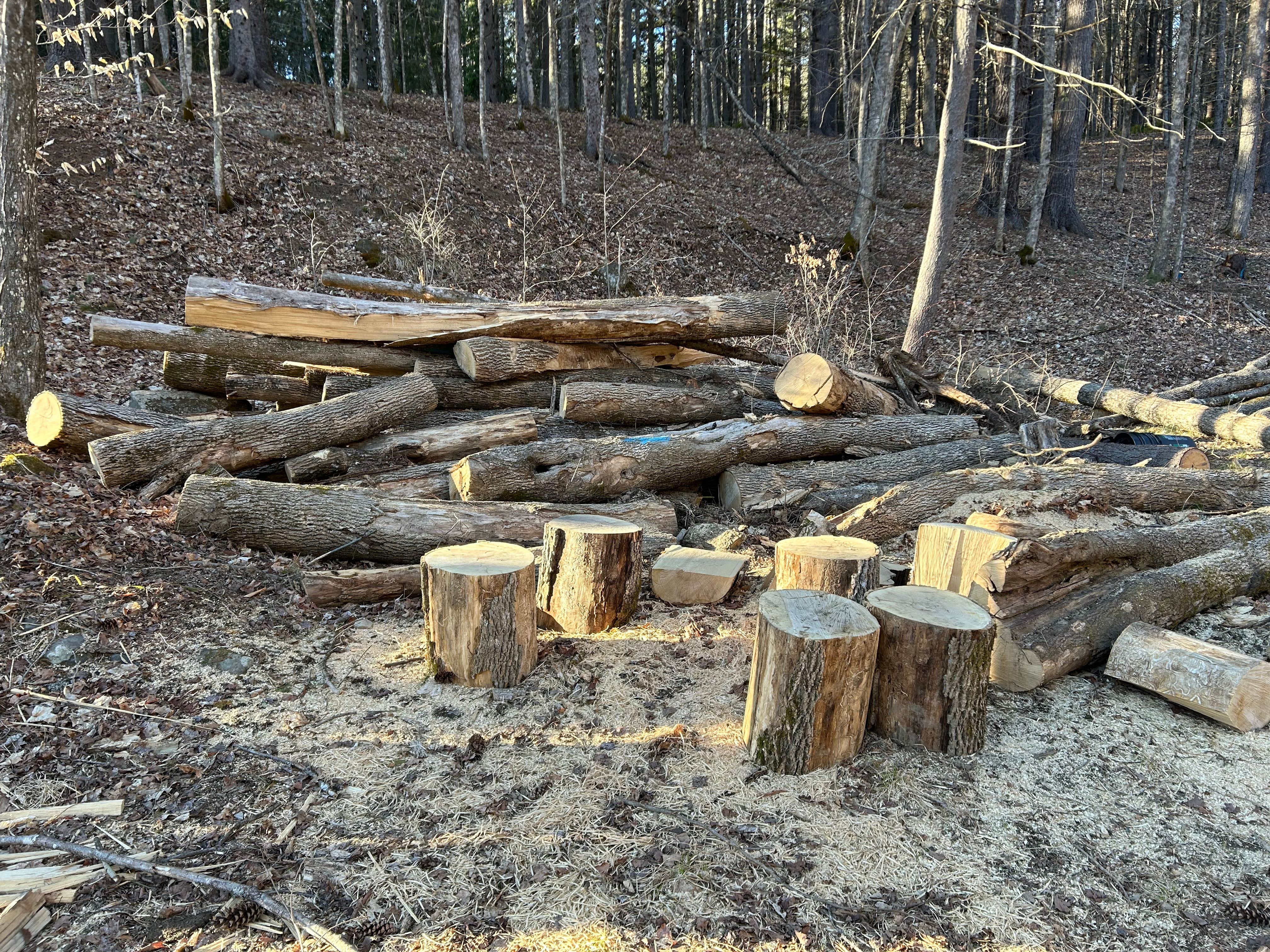 Camper-submitted photo at Burnt Rossman State Forest - Westkill Camp near Hunter, NY